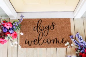 Dogs Welcome